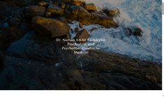 Dr. Nursan Ilkay Webseite