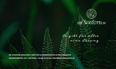 MR Dr. Christine Mikulitsch Webseite