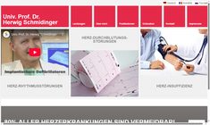 Univ.Prof. Dr. Herwig Schmidinger Webseite