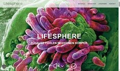 Dr. Michaela Maria Schnider Webseite