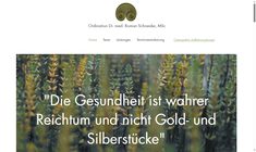 Dr. Roman Schneider MSc Webseite