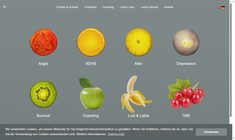 Univ.Doz. Dr. Margot Schmitz Webseite