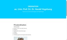 DI Ao.Univ.Prof. Dr. Harald Vogelsang Webseite